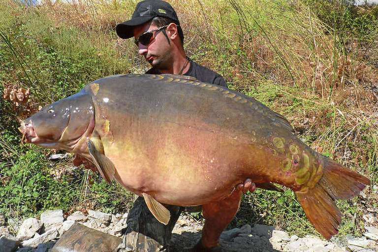 Carp Fishing Tours with CatMaster