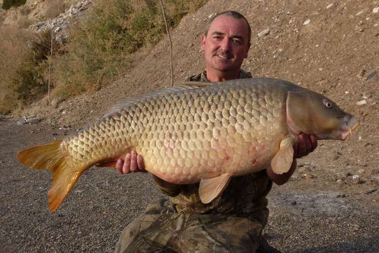 Carp Fishing Tours with CatMaster