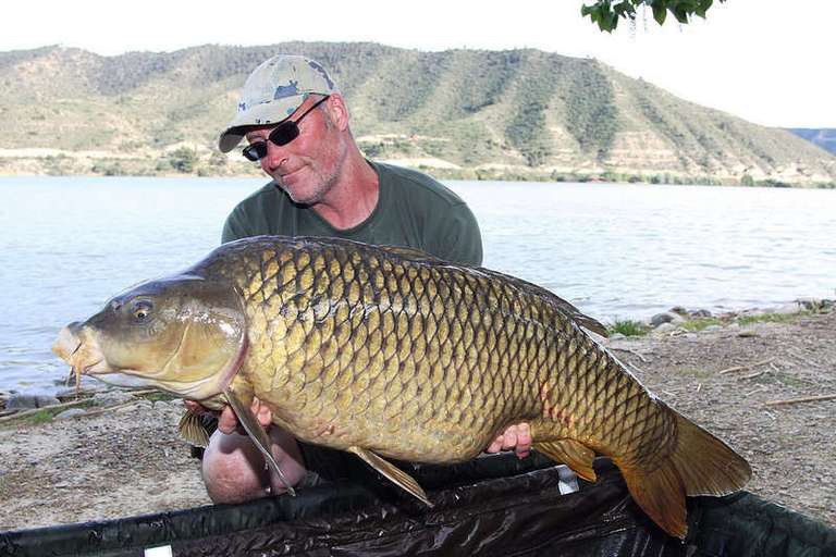 Mixed Carp & Catfish tours with CatMaster Tours