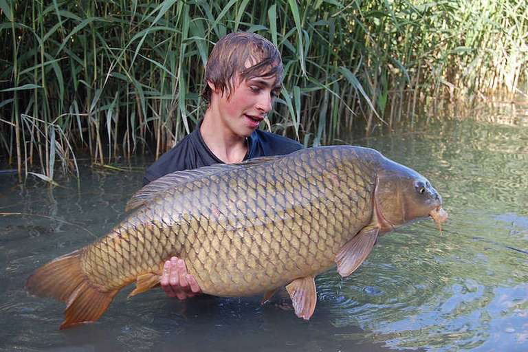 Mixed Carp & Catfish tours with CatMaster Tours