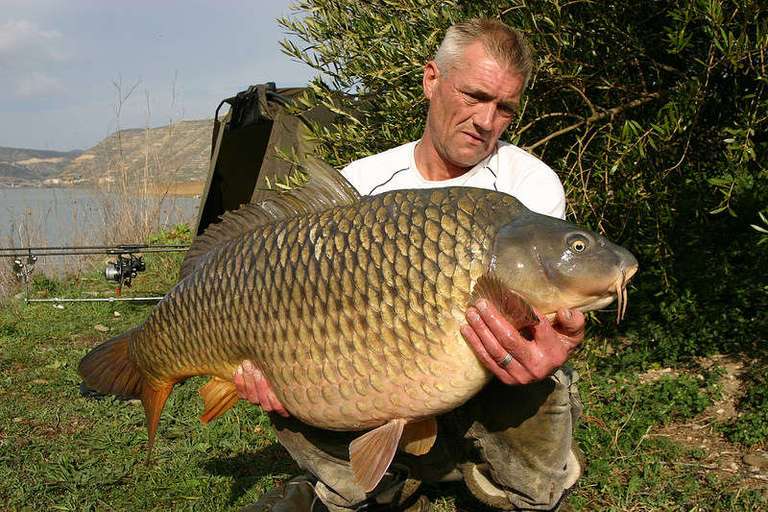 Mixed Carp & Catfish tours with CatMaster Tours