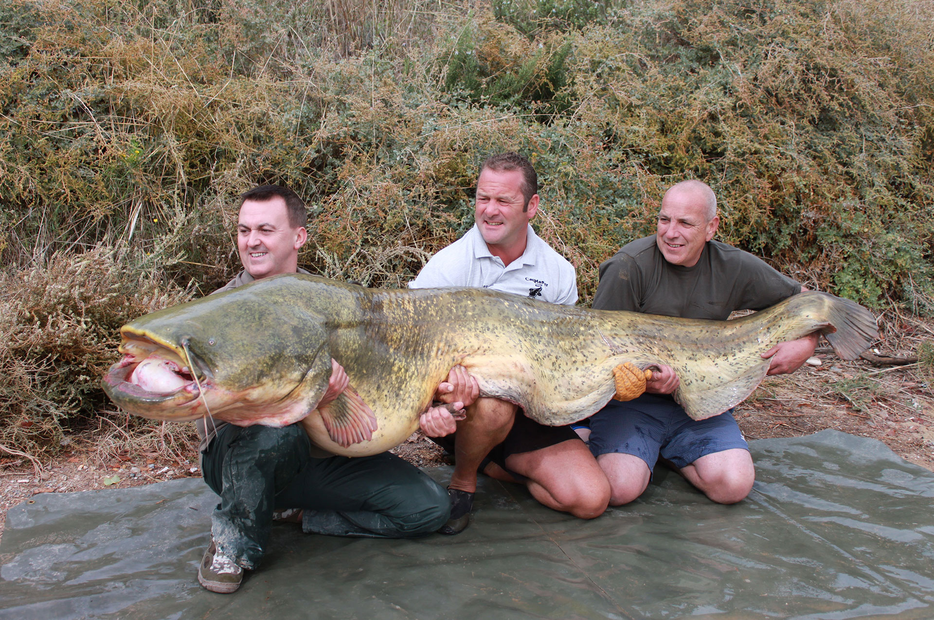 The Big Fish List - CatMaster Tours