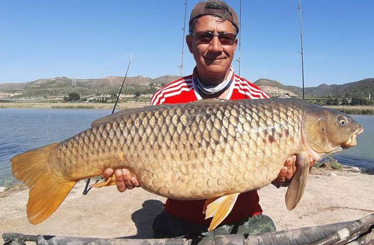 Carp Tours Gallery on CatMaster Tours